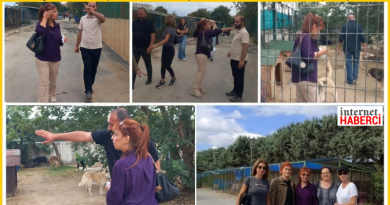 HAYFED BAKIRKÖY BELEDİYESİNİN BARINAĞINDAKİ ÇALIŞMALARI YERİNDE İNCELEDİ